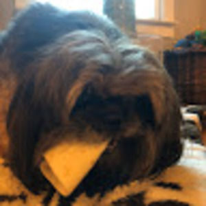 Meet your Posher, Cat